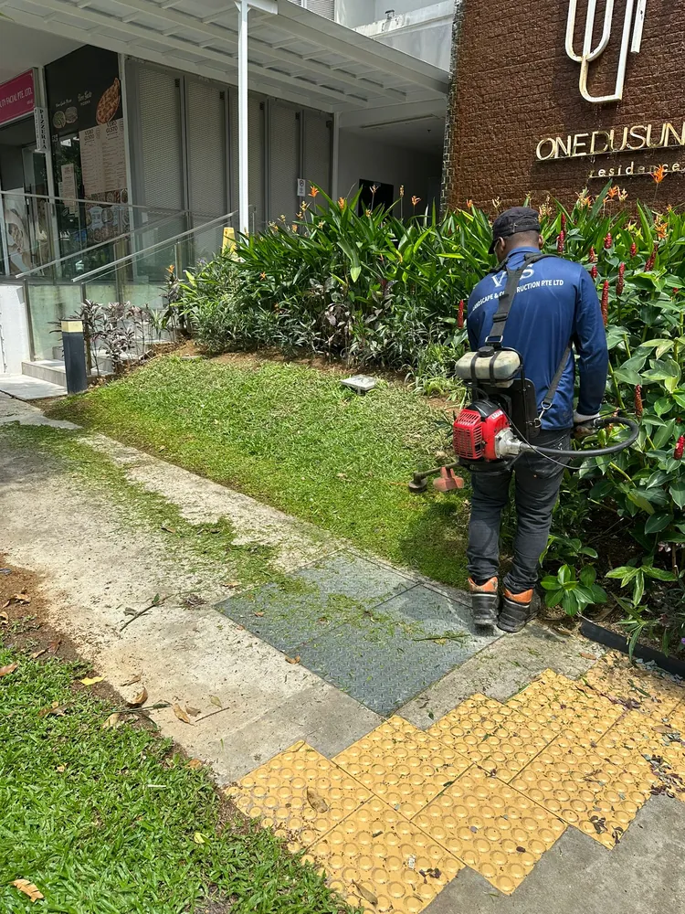 Landscape Maintenance project in Singapore by The Bespoke Club
