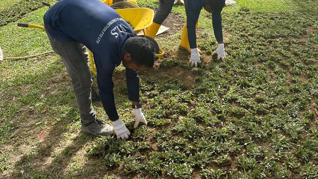 The Bespoke Club landscaping in Singapore — Grass Planting Featured