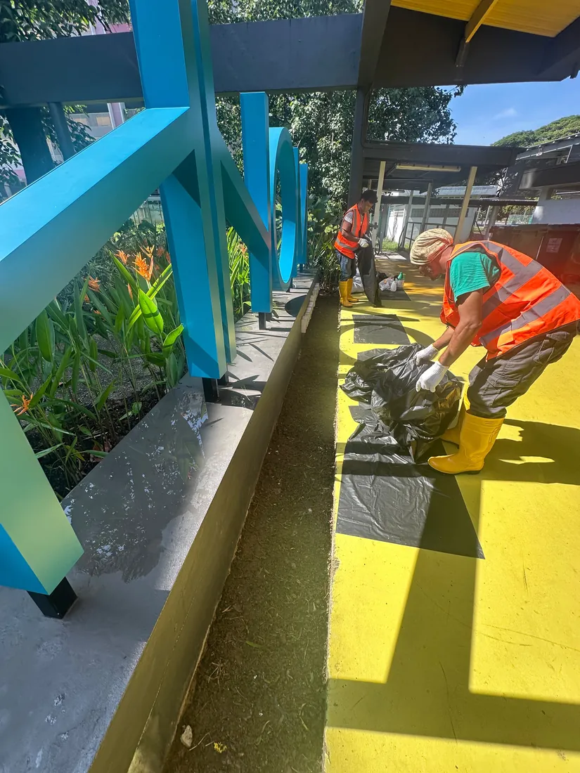 Soft-scaping project in Singapore by The Bespoke Club