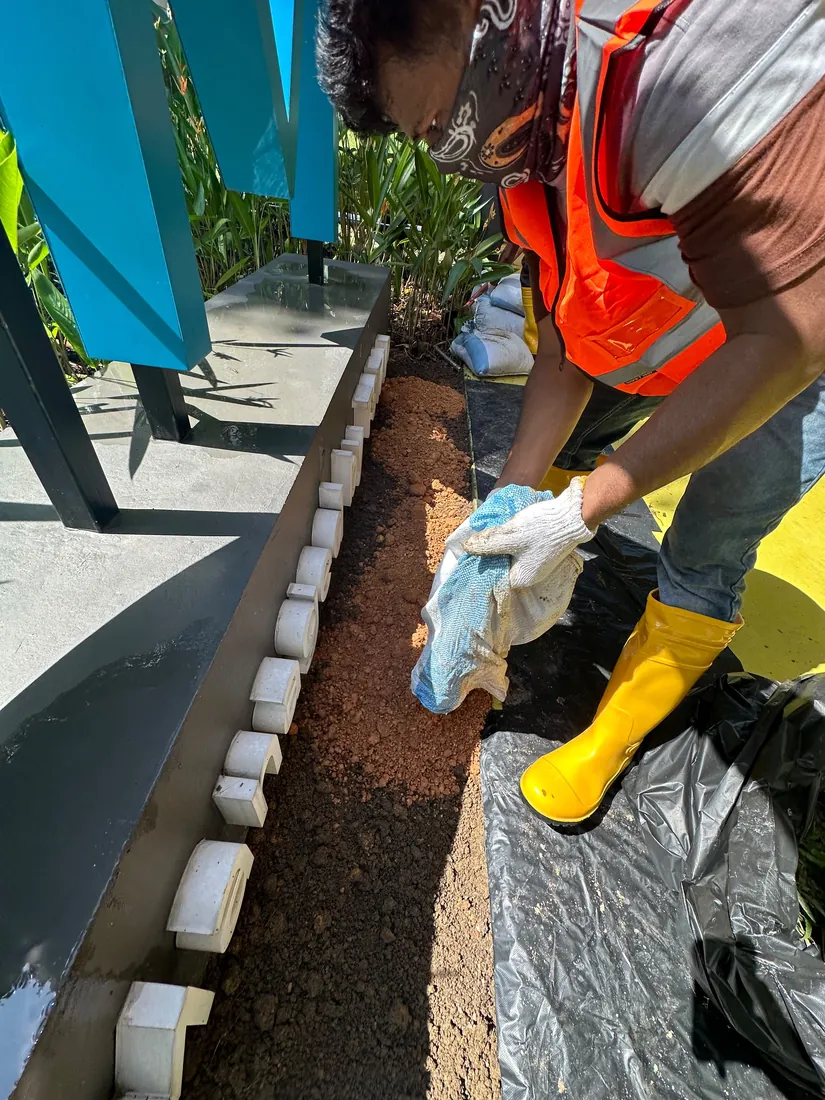 Soft-scaping project in Singapore by The Bespoke Club