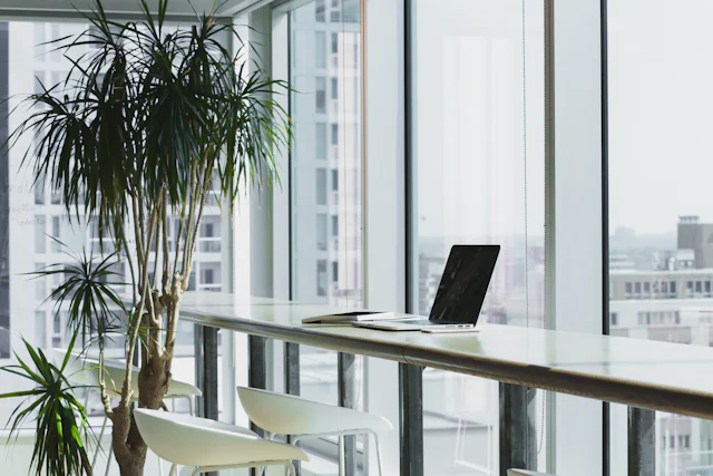 Indoor Landscaping services in Singapore — The Bespoke Club
