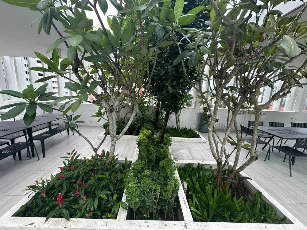 Rooftop garden with timber planters in Singapore