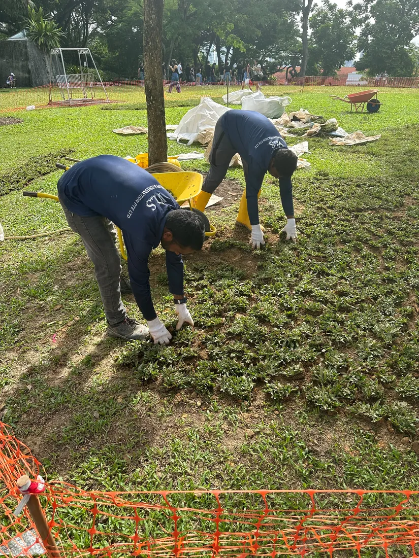 Grass Planting & Lawn Turfing