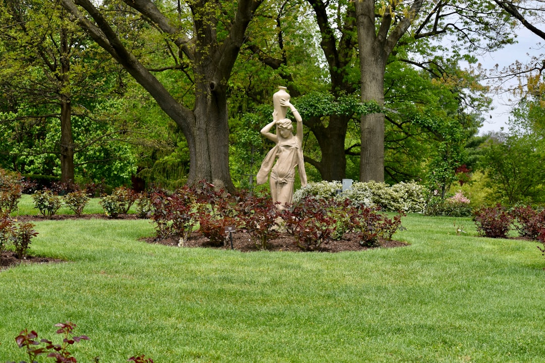 Caring for Zoysia Grass