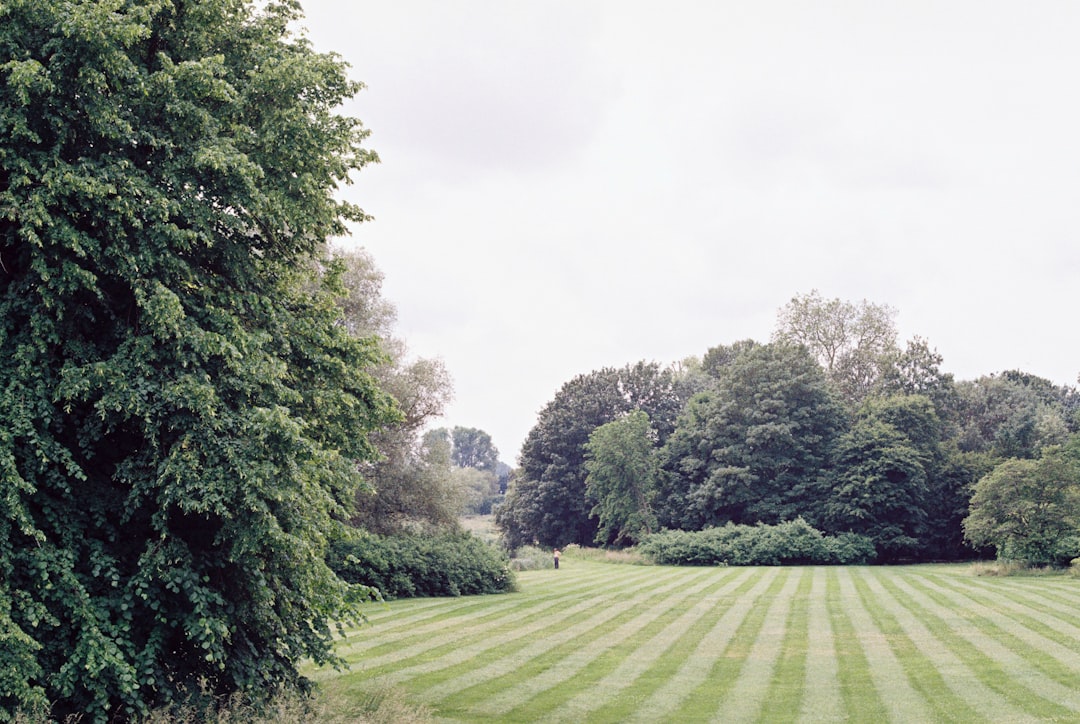 How to Maintain a Courtyard Garden