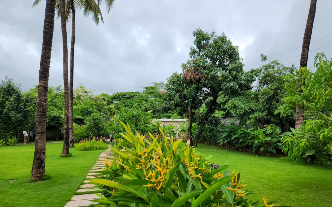 Mediterranean Garden Style in Singapore
