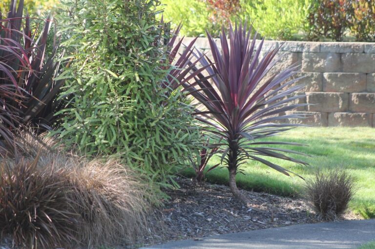 Garden Focal Points: Statues, Pots and Features
