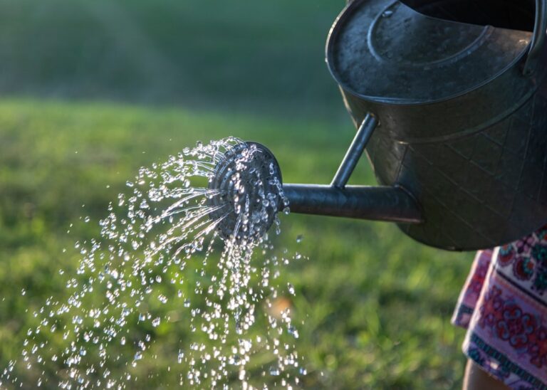How to Fix a Boggy Lawn