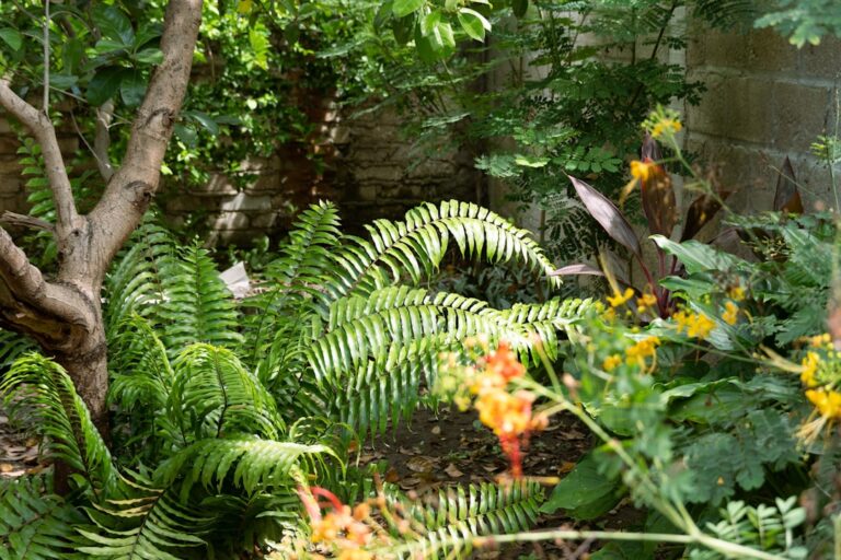 Landscaping Ideas for Small Singapore Gardens