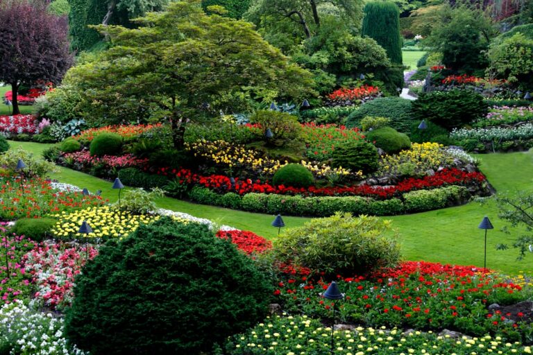 The Complete Cost Guide to Landscaping Services in Singapore