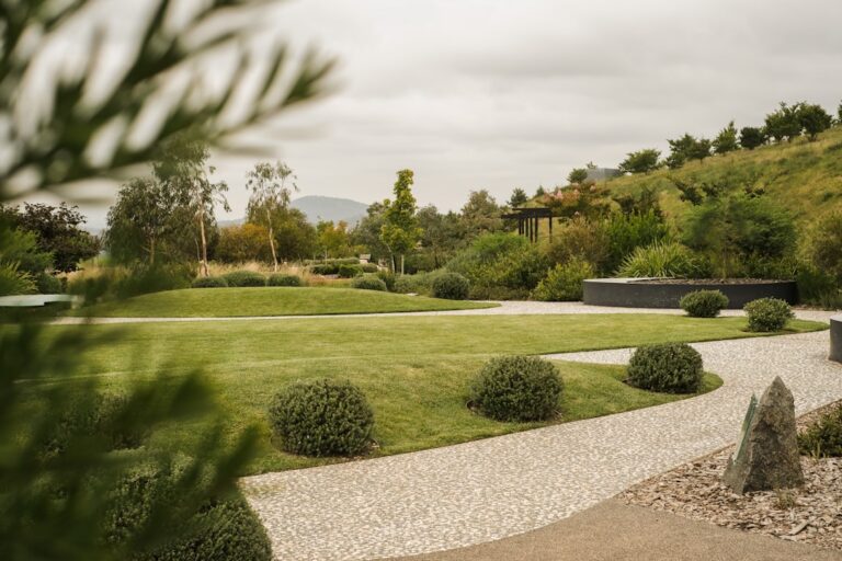 How to Choose a Landscaping Contractor in Singapore