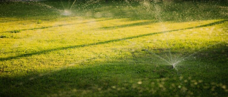 Mulching: What It Is and Why Your Garden Needs It