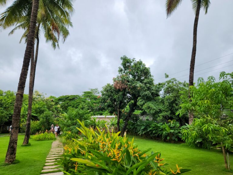 Tropical Resort-Style Garden Ideas