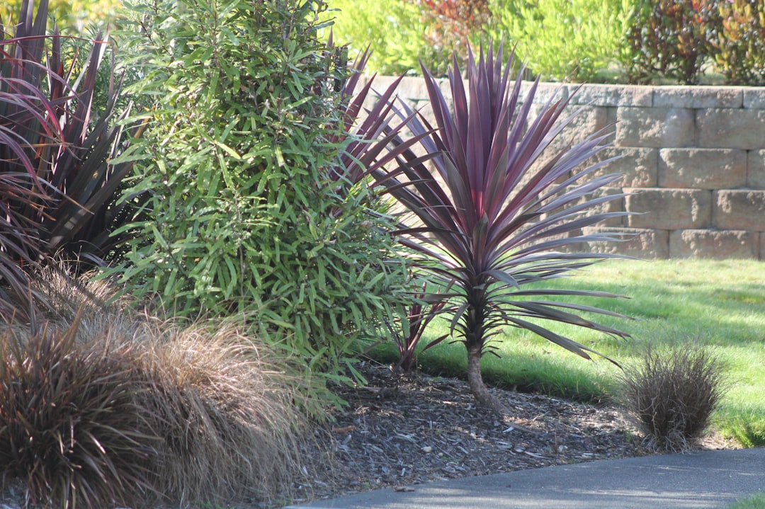 Building an Outdoor Seating Area or Fire Pit