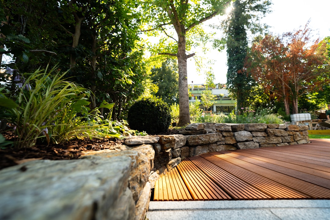 Pool Decking: Materials and What to Know