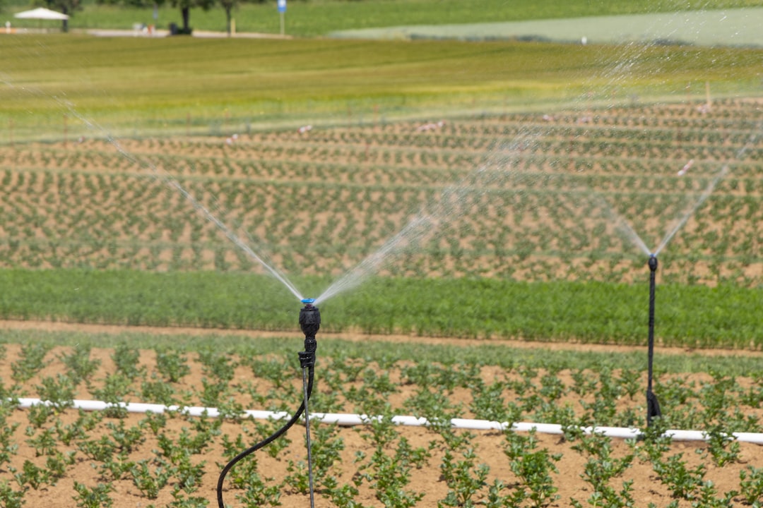 How to Maintain Your Irrigation System