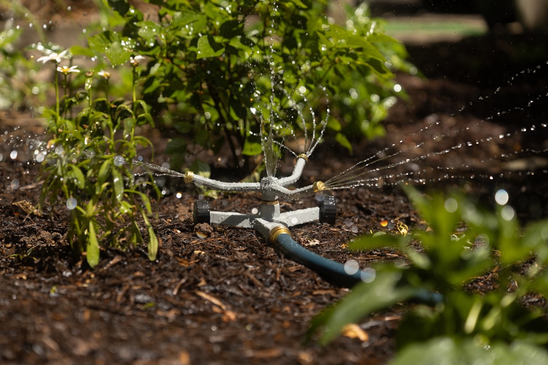 Drainage for Sloped Gardens and Terraces