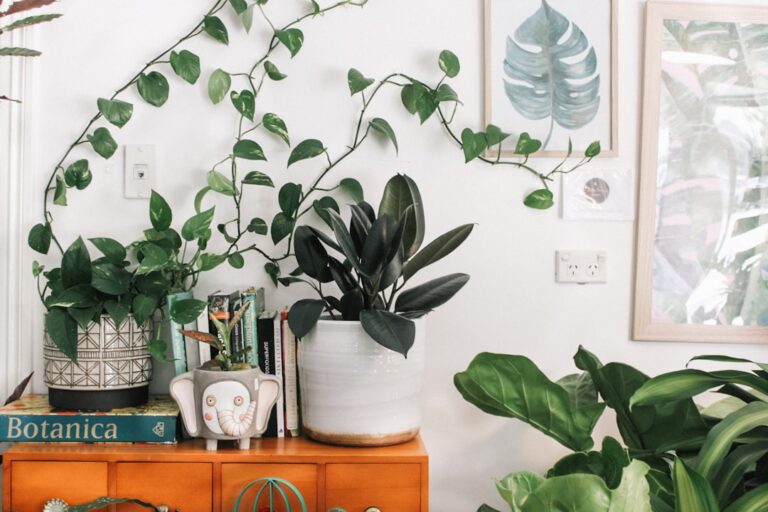 How to Get Rid of Pests on Indoor Plants