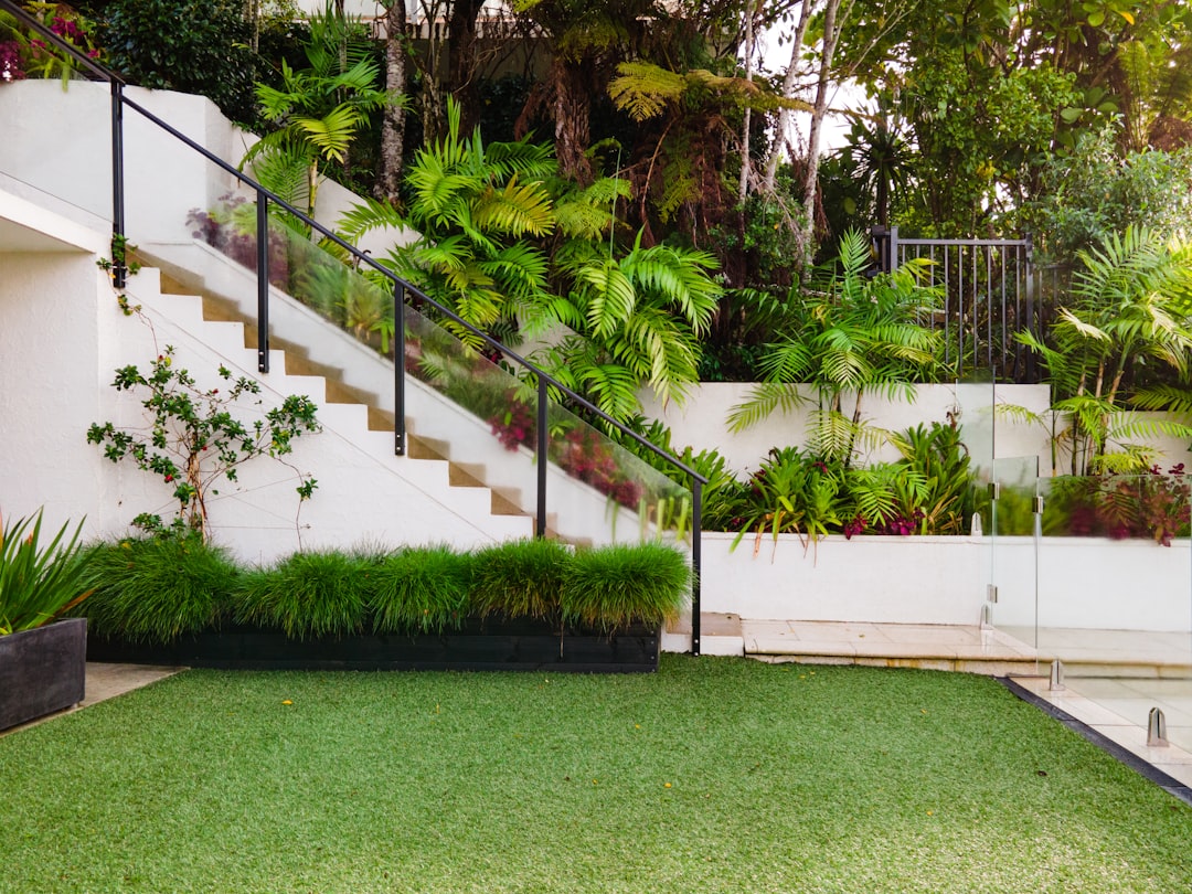 What’s Included in a Landscape Maintenance Package