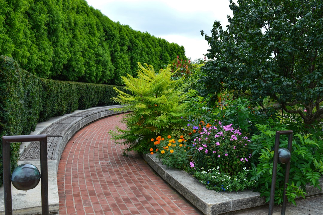 Landscaping ROI: How a Garden Adds Property Value