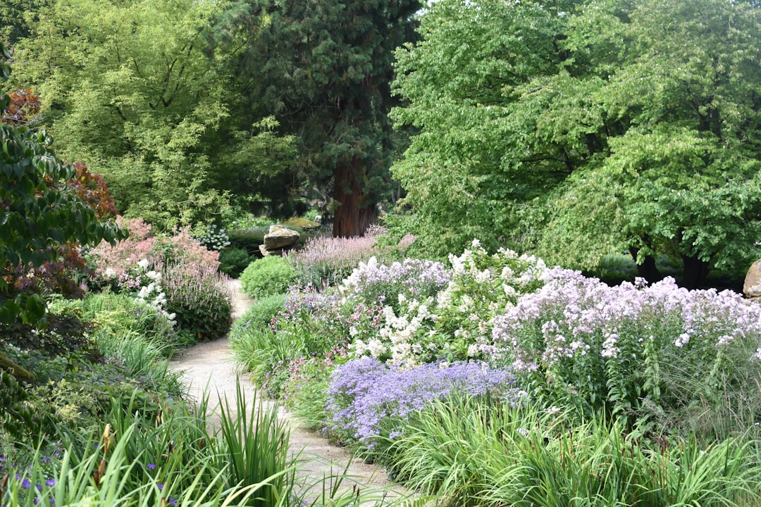 A Beginner's Guide to Starting a Garden in Singapore