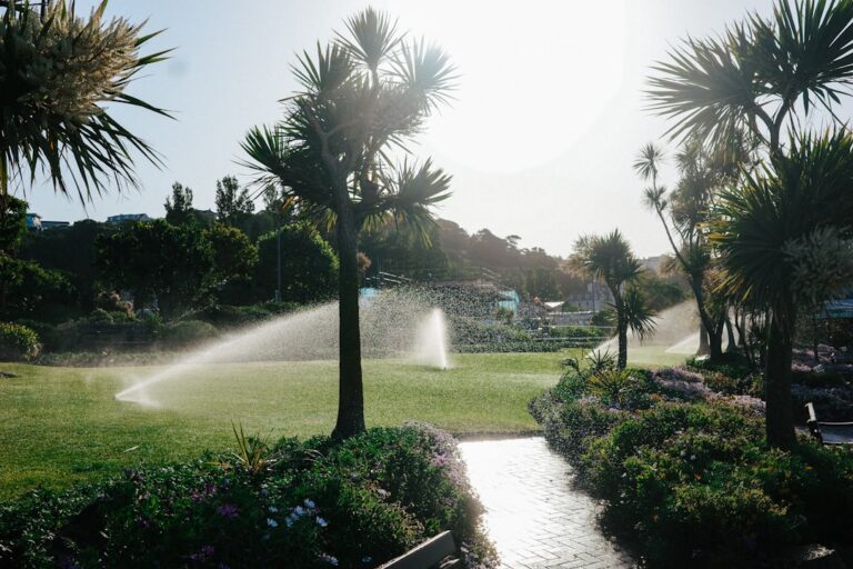 Easy-Care Garden Ideas for Seniors