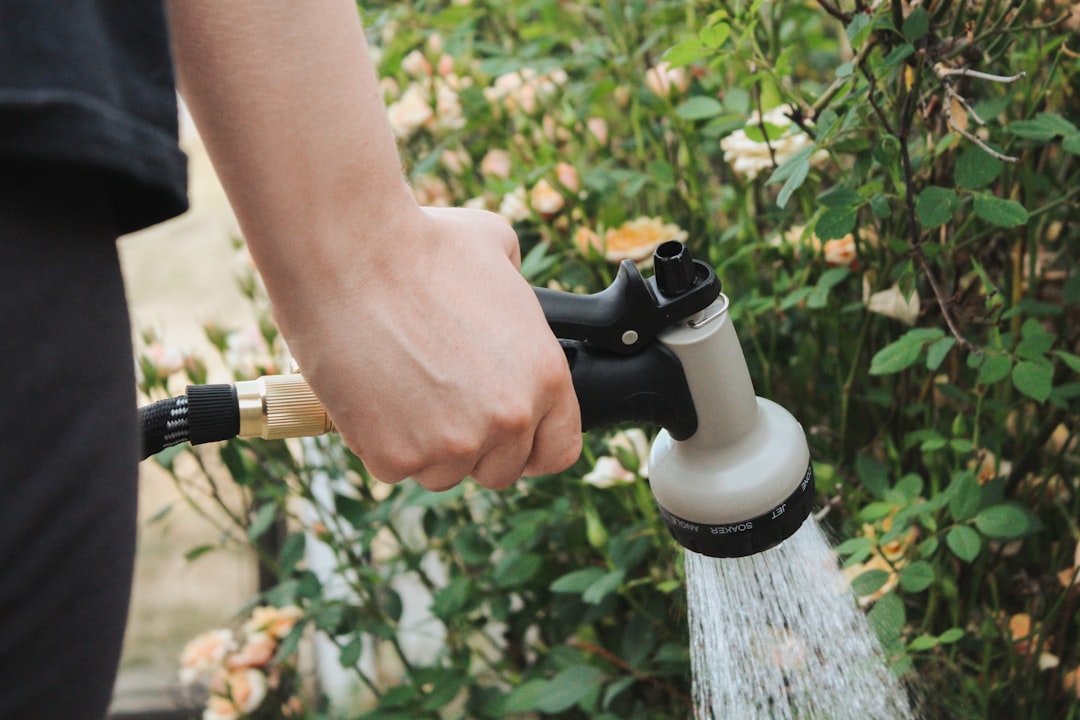 Watering Tips for the Dry Season