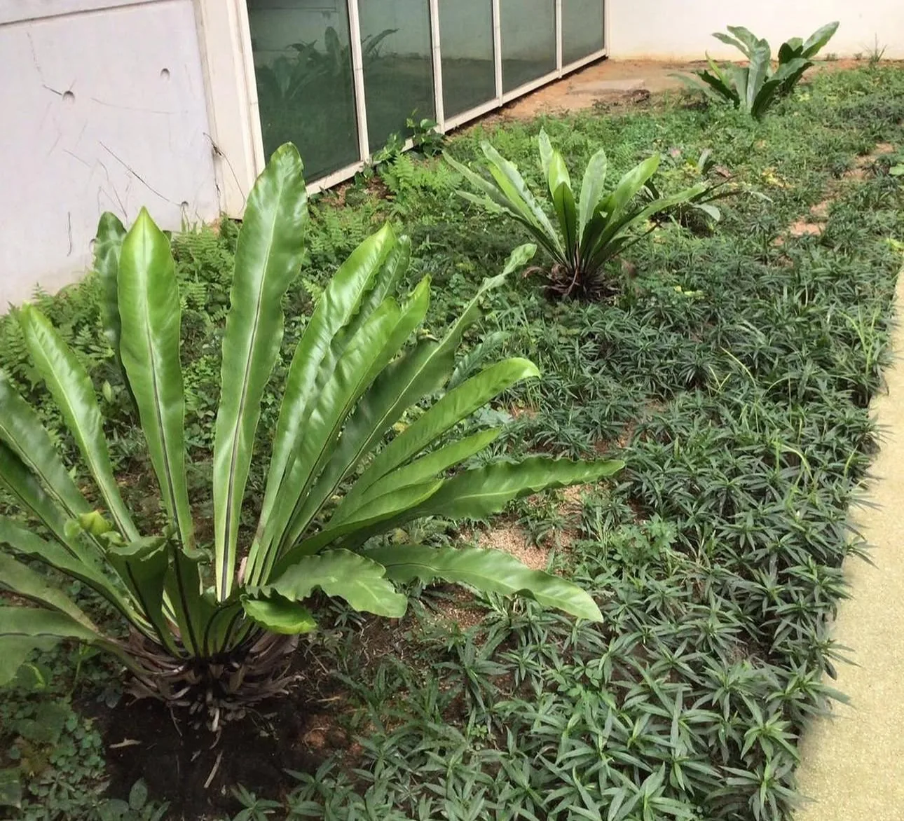 Drainage Works project in Singapore by The Bespoke Club