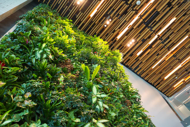 Living green wall