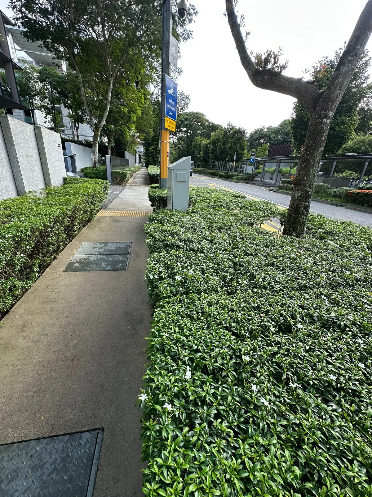 Walkway & Drainage Civil Works
